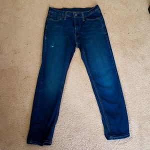 Blue Levi 541 Jeans